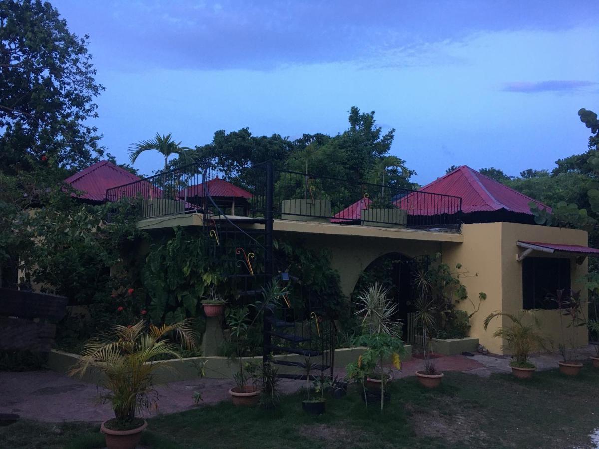 Can Jam Retreat Negril Exterior photo