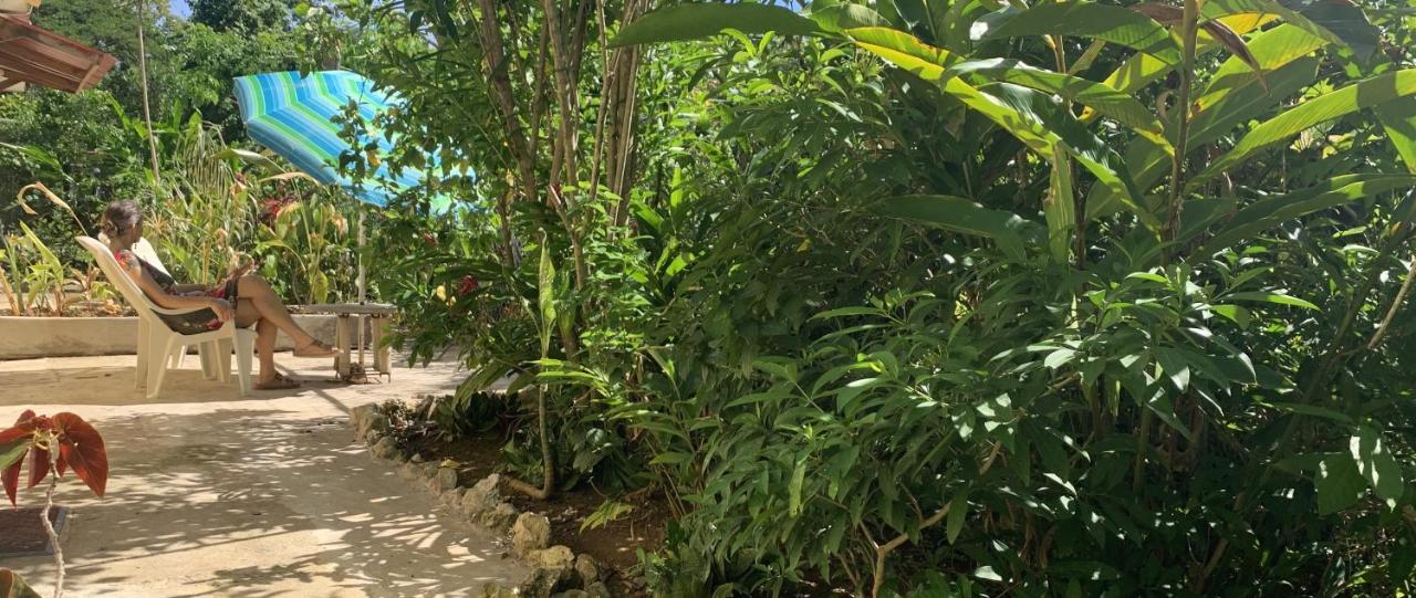 Can Jam Retreat Negril Exterior photo