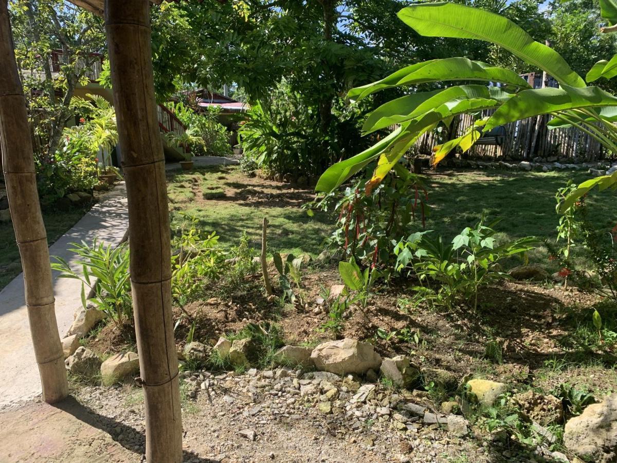 Can Jam Retreat Negril Exterior photo