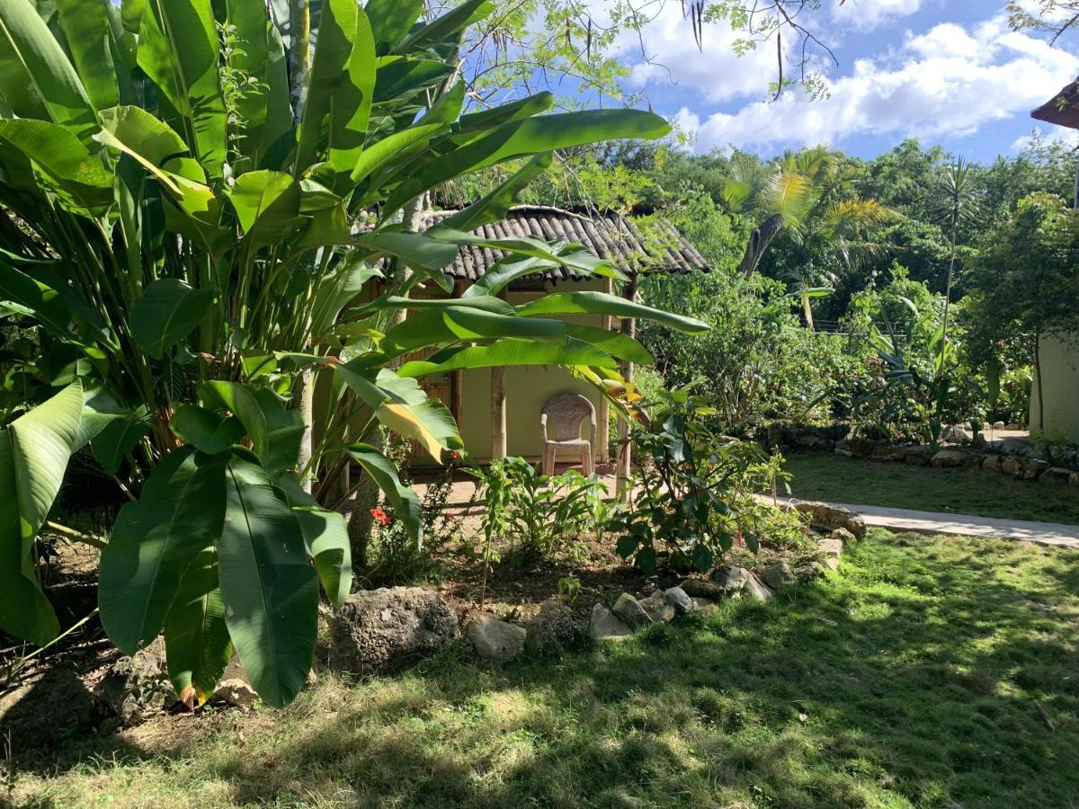 Can Jam Retreat Negril Exterior photo