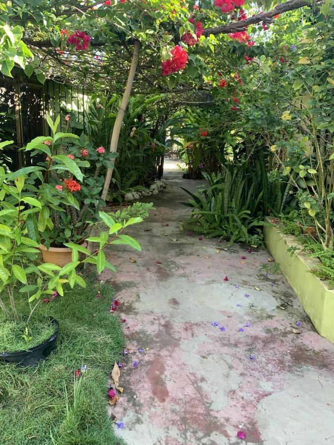 Can Jam Retreat Negril Exterior photo