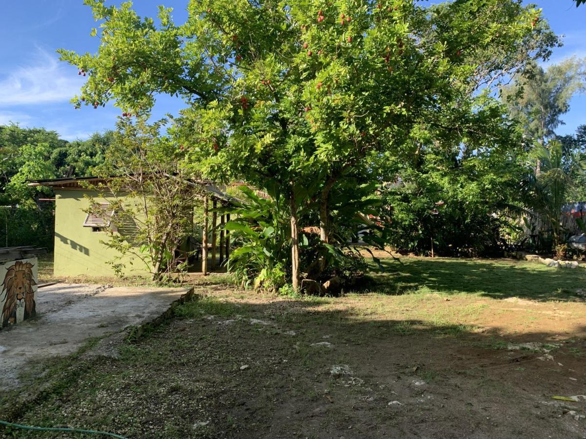 Can Jam Retreat Negril Exterior photo
