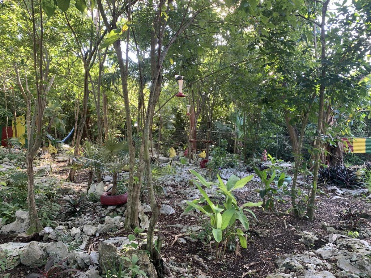 Can Jam Retreat Negril Exterior photo