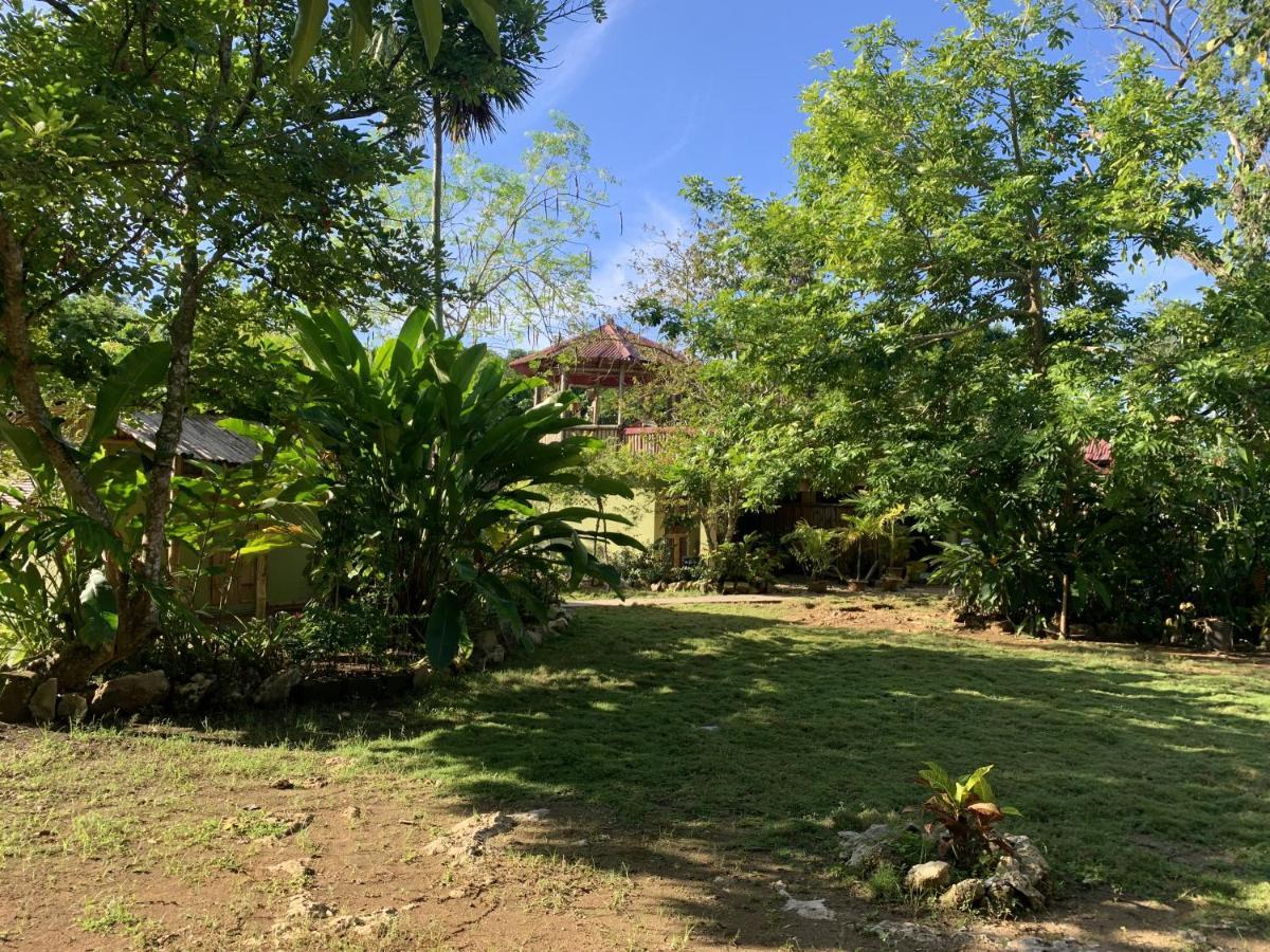 Can Jam Retreat Negril Exterior photo