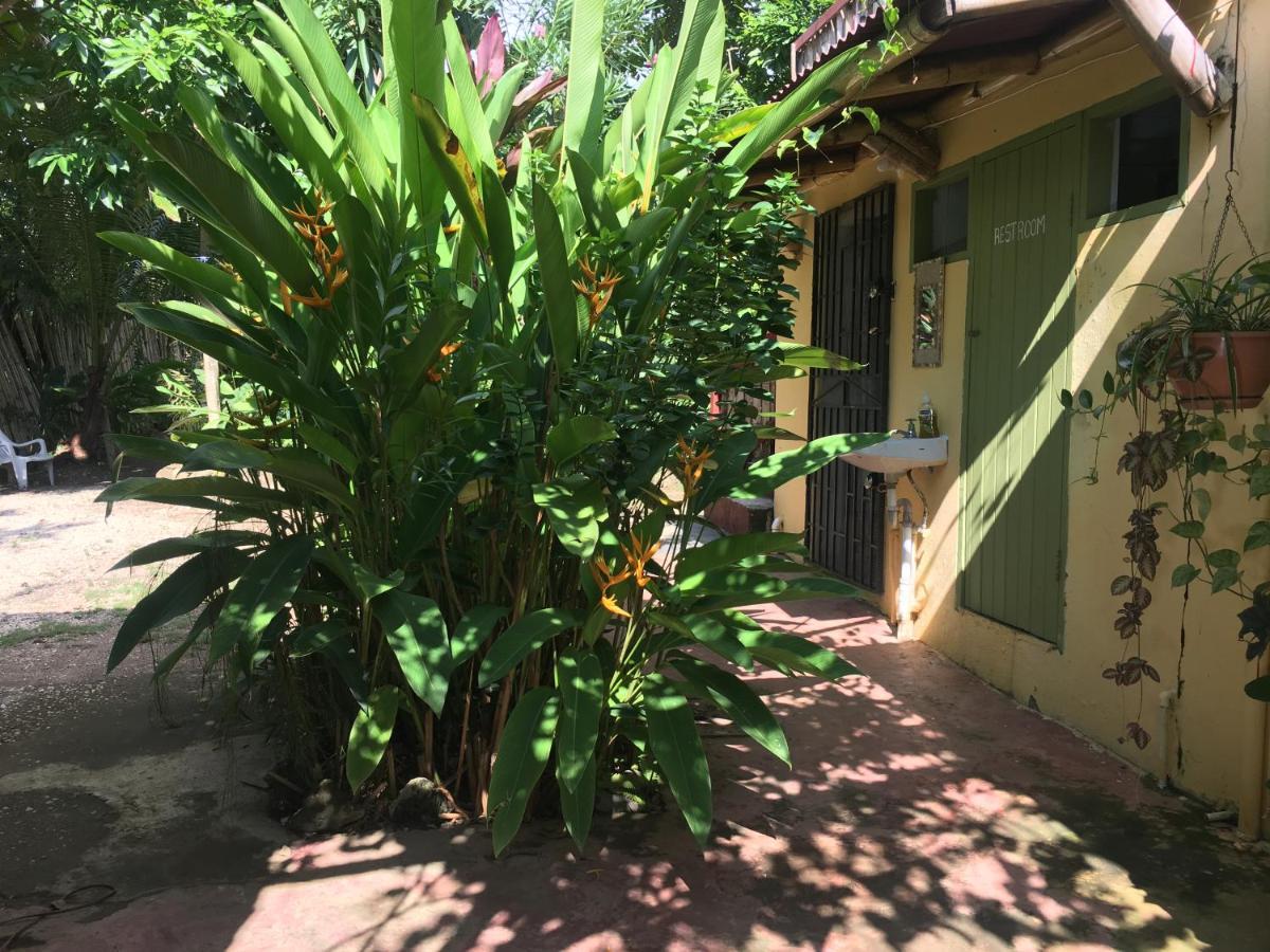 Can Jam Retreat Negril Exterior photo