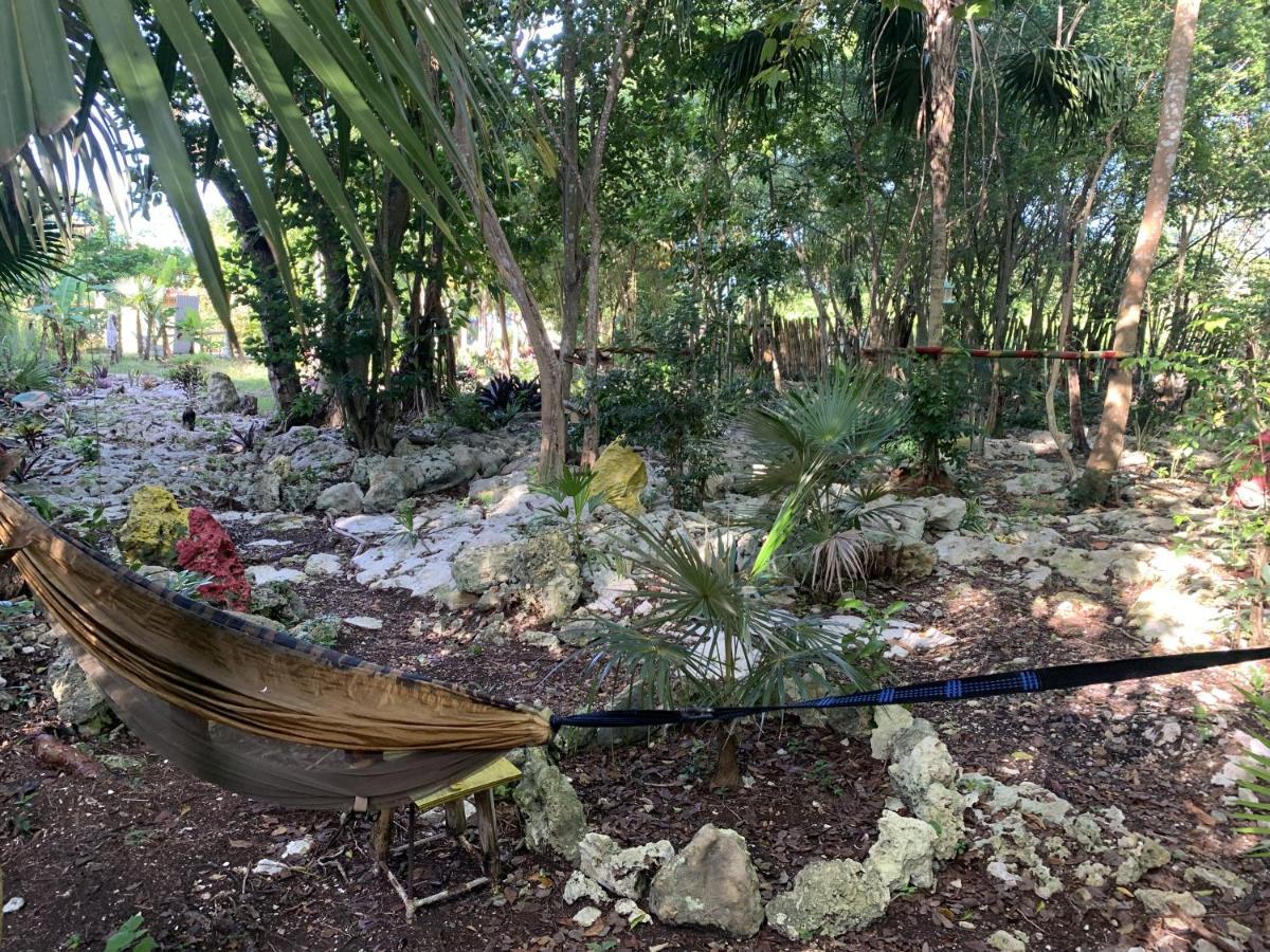 Can Jam Retreat Negril Exterior photo